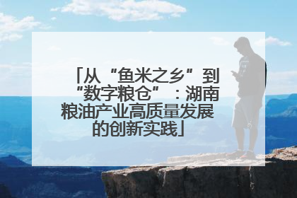 从“鱼米之乡”到“数字粮仓”：湖南粮油产业高质量发展的创新实践