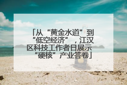 从“黄金水道”到“低空经济”，江汉区科技工作者日展示“硬核”产业答卷