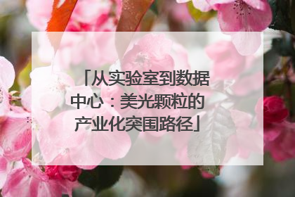 从实验室到数据中心：美光颗粒的产业化突围路径