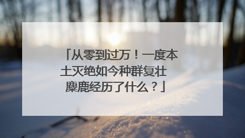 从零到过万！一度本土灭绝如今种群复壮 麋鹿经历了什么？