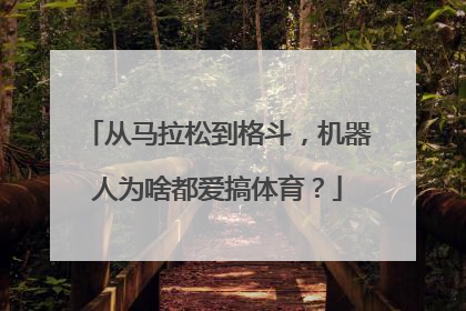 从马拉松到格斗，机器人为啥都爱搞体育？