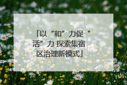 以“和”力促“活”力 探索集宿区治理新模式