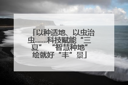 以种适地、以虫治虫……科技赋能“三夏” “智慧种地”绘就好“丰”景