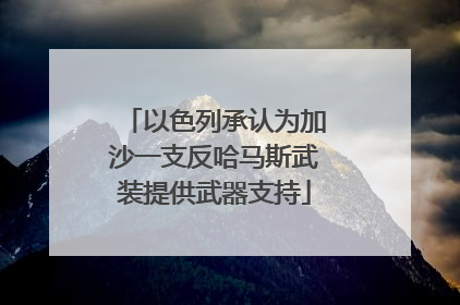 以色列承认为加沙一支反哈马斯武装提供武器支持