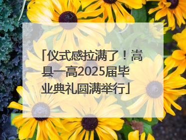 仪式感拉满了！嵩县一高2025届毕业典礼圆满举行