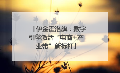 伊金霍洛旗：数字引擎激活“电商+产业带”新标杆