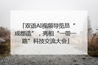 双语AI视频导览员“成都造”，亮相“一带一路”科技交流大会