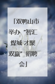 双鸭山市举办“智汇煤城·才聚双赢”招聘会