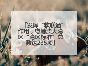 发挥“软联通”作用，粤港澳大湾区“湾区标准”总数达235项
