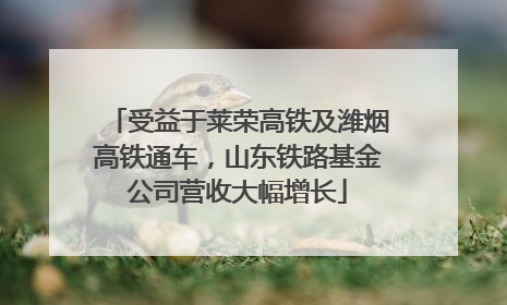 受益于莱荣高铁及潍烟高铁通车，山东铁路基金公司营收大幅增长
