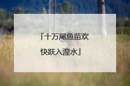 十万尾鱼苗欢快跃入湟水