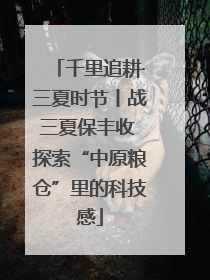 千里追耕·三夏时节丨战三夏保丰收 探索“中原粮仓”里的科技感