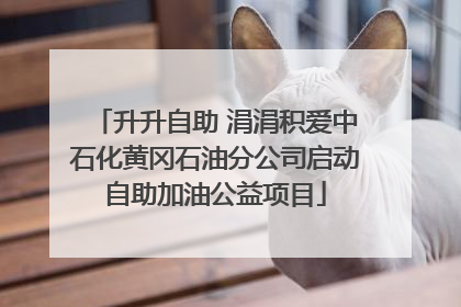 升升自助 涓涓积爱中石化黄冈石油分公司启动自助加油公益项目