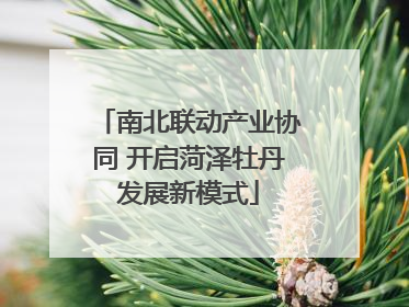 南北联动产业协同 开启菏泽牡丹发展新模式