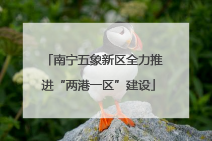 南宁五象新区全力推进“两港一区”建设