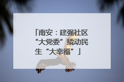 南安：建强社区“大党委”撬动民生“大幸福”