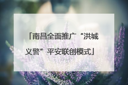 南昌全面推广“洪城义警”平安联创模式
