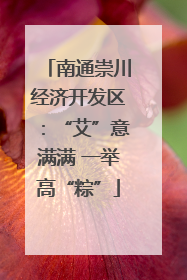 南通崇川经济开发区：“艾”意满满 一举高“粽”