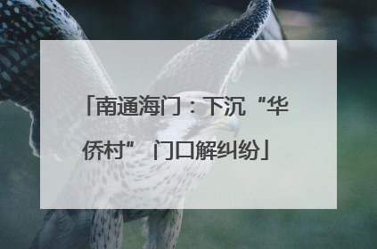 南通海门：下沉“华侨村” 门口解纠纷