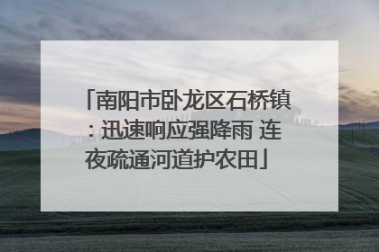 南阳市卧龙区石桥镇：迅速响应强降雨 连夜疏通河道护农田