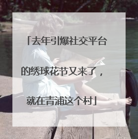 去年引爆社交平台的绣球花节又来了，就在青浦这个村