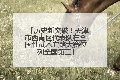 历史新突破！天津市西青区代表队在全国性武术套路大赛位列全国第三