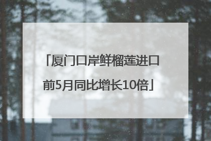 厦门口岸鲜榴莲进口 前5月同比增长10倍