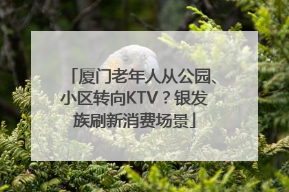 厦门老年人从公园、小区转向KTV？银发族刷新消费场景