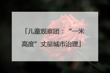 儿童观察团：“一米高度”丈量城市治理