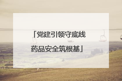 党建引领守底线 药品安全筑根基
