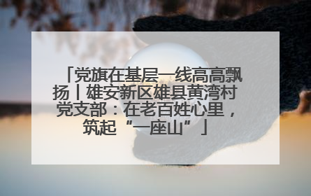 党旗在基层一线高高飘扬丨雄安新区雄县黄湾村党支部：在老百姓心里，筑起“一座山”