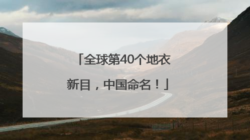 全球第40个地衣新目，中国命名！