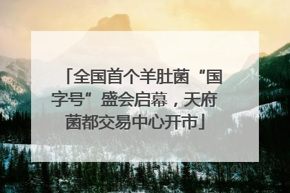 全国首个羊肚菌“国字号”盛会启幕，天府菌都交易中心开市