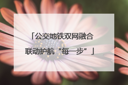 公交地铁双网融合 联动护航“每一步”