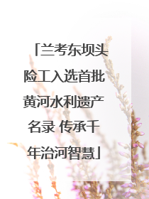 兰考东坝头险工入选首批黄河水利遗产名录 传承千年治河智慧