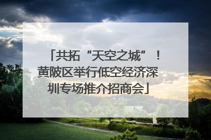 共拓“天空之城”！黄陂区举行低空经济深圳专场推介招商会