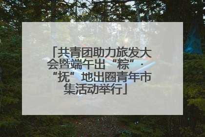 共青团助力旅发大会暨端午出“粽”·“抚”地出圈青年市集活动举行