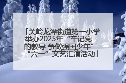 关岭龙潭街道第一小学举办2025年“牢记党的教导 争做强国少年”“六一”文艺汇演活动