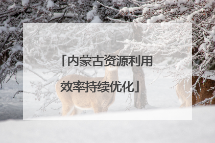 内蒙古资源利用效率持续优化