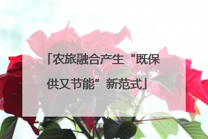 农旅融合产生“既保供又节能”新范式
