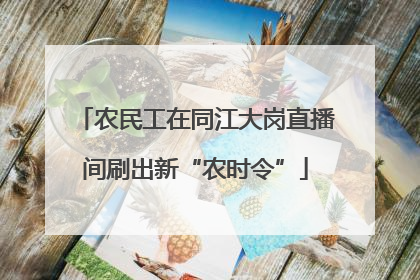 农民工在同江大岗直播间刷出新“农时令”