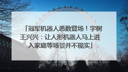 冠军机器人悉数登场！宇树王兴兴：让人形机器人马上进入家庭等场景并不现实