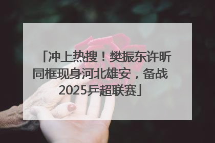 冲上热搜！樊振东许昕同框现身河北雄安，备战2025乒超联赛