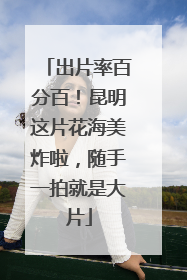 出片率百分百！昆明这片花海美炸啦，随手一拍就是大片