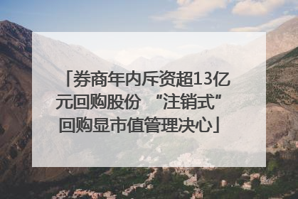 券商年内斥资超13亿元回购股份 “注销式”回购显市值管理决心