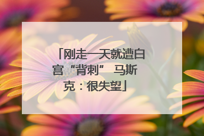 刚走一天就遭白宫“背刺” 马斯克：很失望