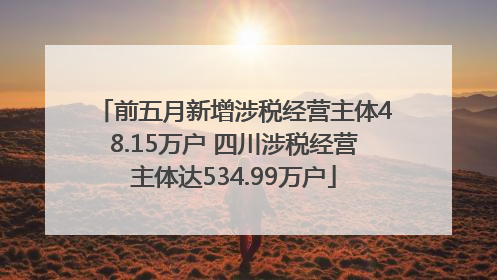 前五月新增涉税经营主体48.15万户 四川涉税经营主体达534.99万户