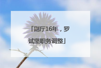 副厅16年，罗试坚职务调整