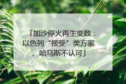 加沙停火再生变数：以色列“接受”美方案、哈马斯不认可
