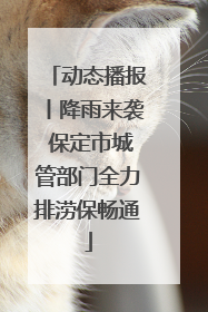 动态播报丨降雨来袭 保定市城管部门全力排涝保畅通